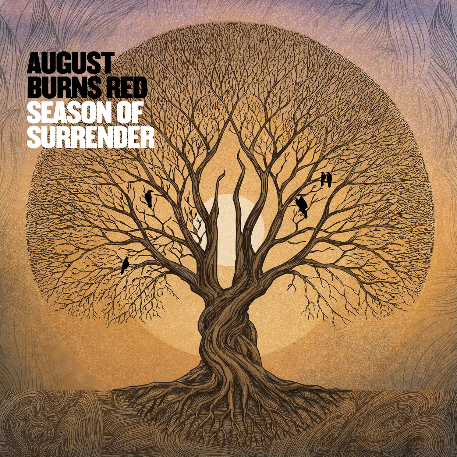 Season of Surrender album cover